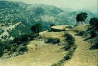 Threshing floor,  Bassae