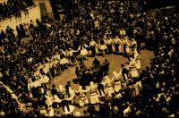 Greek dancers, Delphi