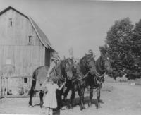 Van Kampen children