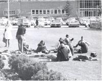 Relaxing on the lawn