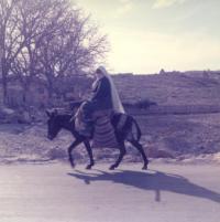 Woman riding donkey