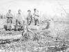 Four people clearing land